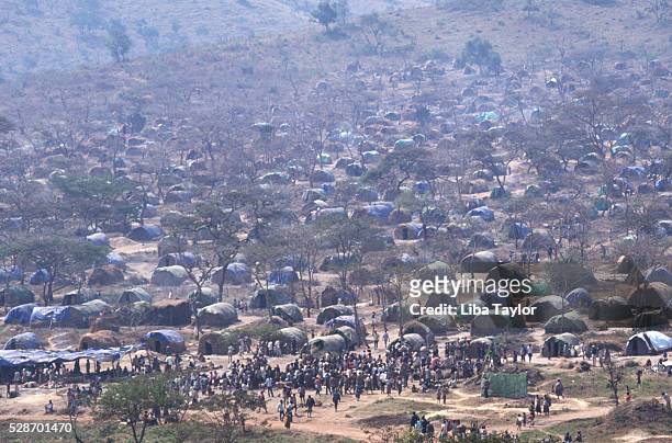 camp of hutu refugees in tanzania - refugee camp stock pictures, royalty-free photos & images