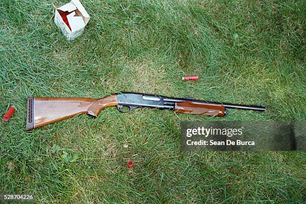 shotgun and shells lying in meadow - rifle fotografías e imágenes de stock