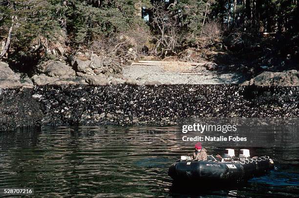 boat approaching oil-soaked shore - prince william sound stock pictures, royalty-free photos & images
