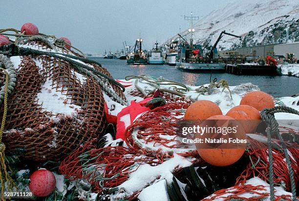 fishing nets and buoys on shore - unalaska 個照片及圖片檔