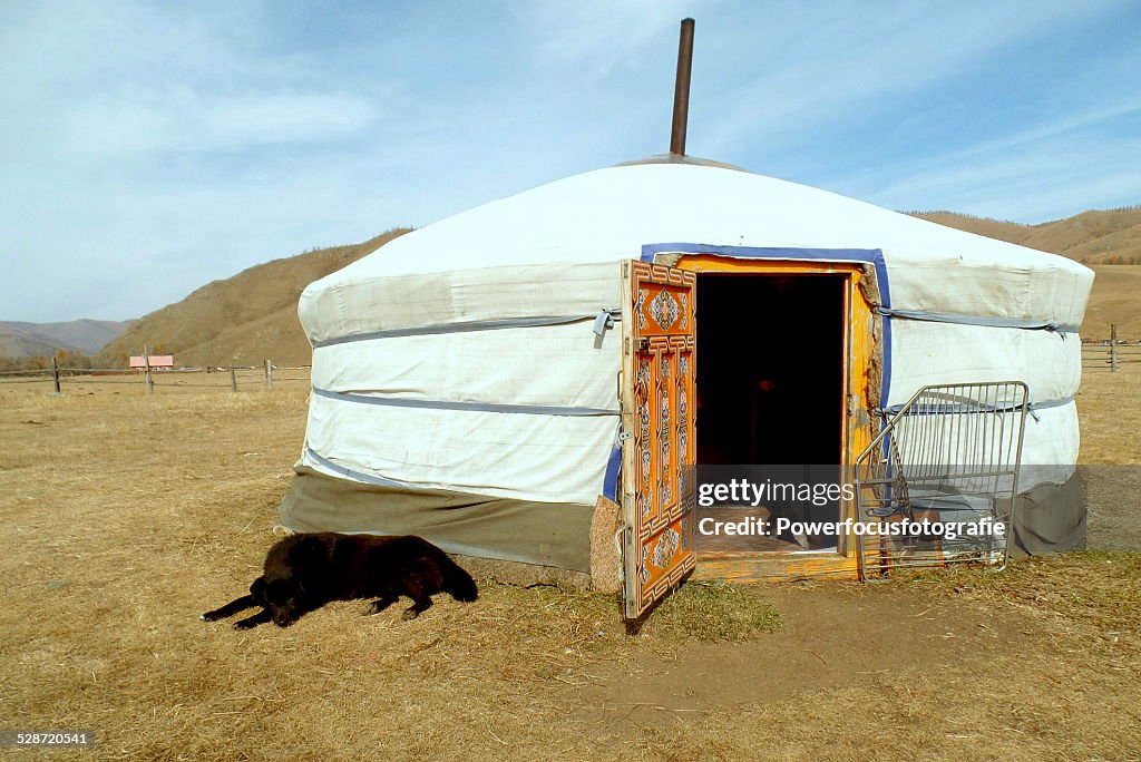 Mongolian Yurt