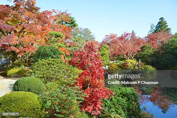 autumn colours in shoyo-en garden, nikko, japan - nikko stock-fotos und bilder