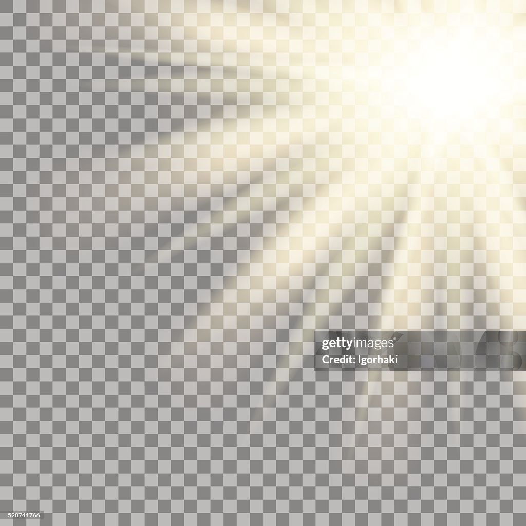 Sun Raysd Transparent Sun Rays On Transparent Background Vector High-Res Vector Graphic ...