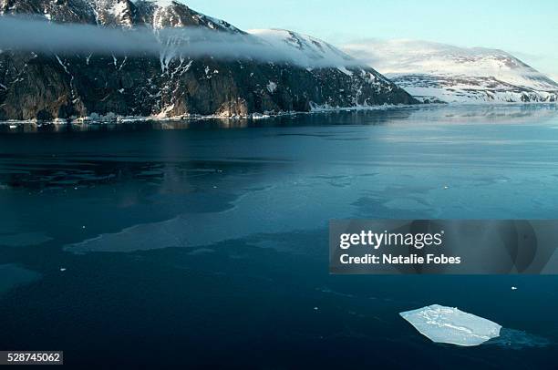 freezing waters of bering sea near russia's chukotka peninsula - bering sea fotografías e imágenes de stock