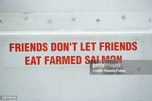 bumper sticker opposing salmon farms - bumper sticker stock pictures, royalty-free photos & images