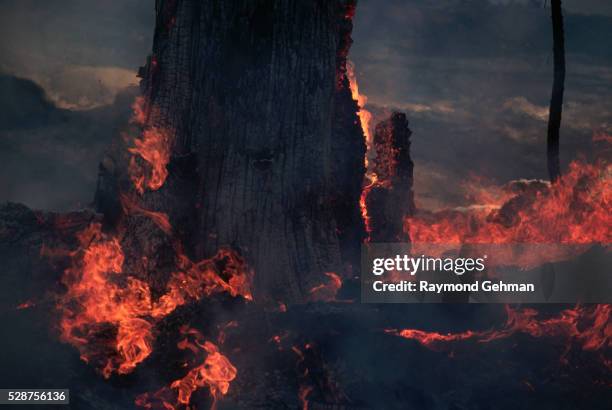Decayed Fire Raymond California Photos and Premium High Res Pictures - Getty Images