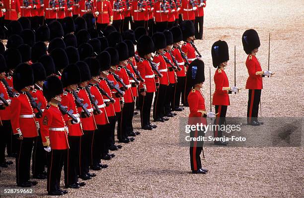 changing of the guard ceremony, buckingham palace, london, great britain - trooping the color stock-fotos und bilder