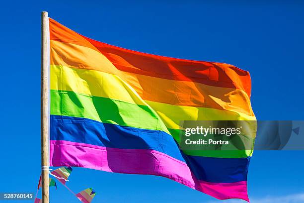 rainbow flag during gay parade - gay flag stock pictures, royalty-free photos & images