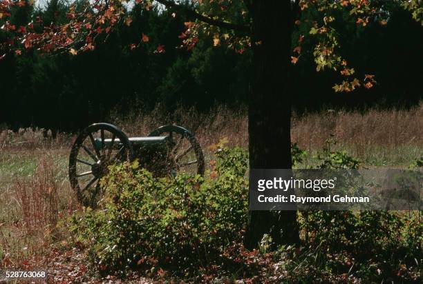 cannon by an oak tree - murfreesboro stock-fotos und bilder