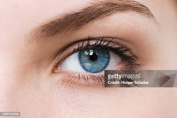 woman with blue eyes - olhos imagens e fotografias de stock