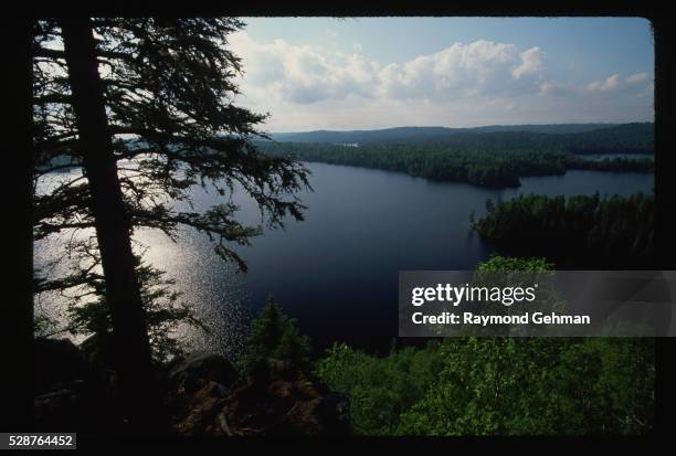 hungry jack lake - balsam fir tree stock pictures, royalty-free photos & images