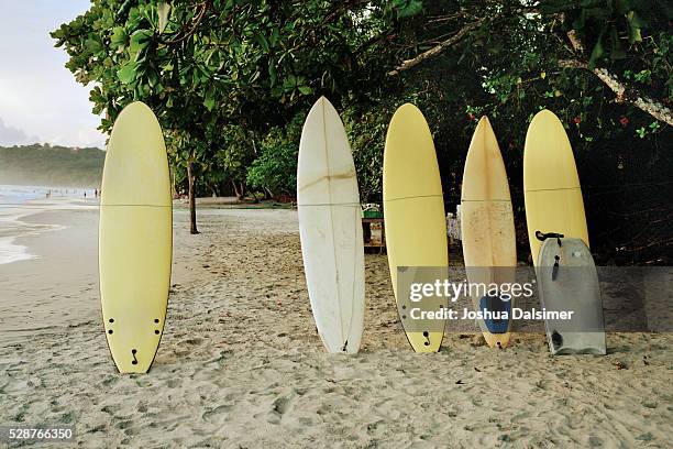 surfboards on a beach - surfboard stock pictures, royalty-free photos & images