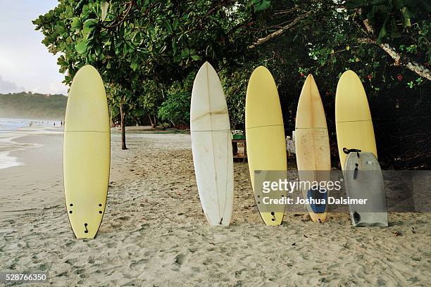 surfboards on a beach - surfbräda bildbanksfoton och bilder