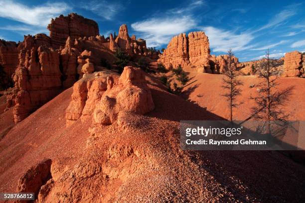 hoodoos in red canyon - red canyon bildbanksfoton och bilder