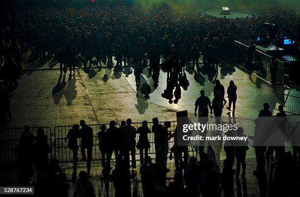 Black Eyed Peas fans bathed in light awaiting concert.