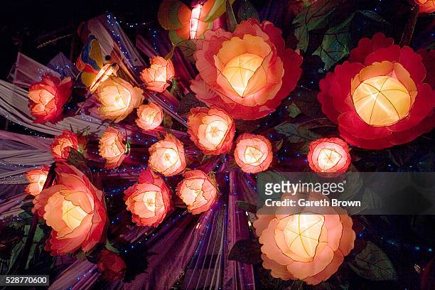 chinese lantern during mid autumn festival in hong kong - paper lantern stockfoto's en -beelden