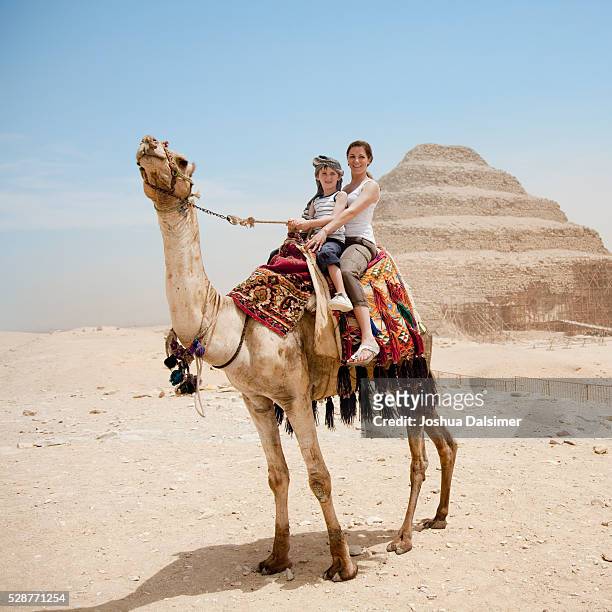 mother and son on a camel - dromedary camel bildbanksfoton och bilder