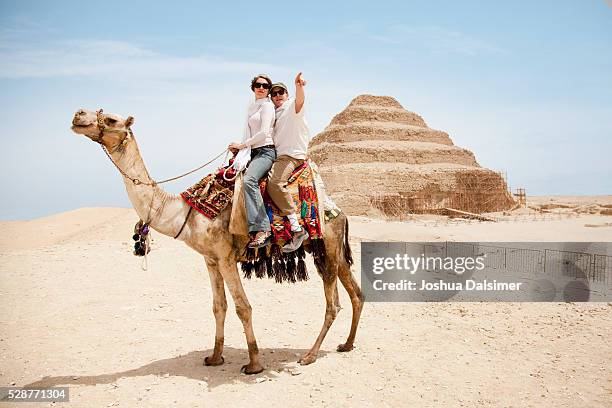 couple on a camel - dromedar stock-fotos und bilder