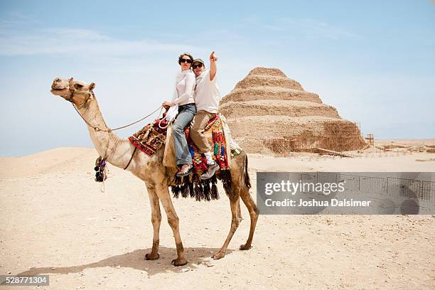 couple on a camel - montare un animale montare foto e immagini stock