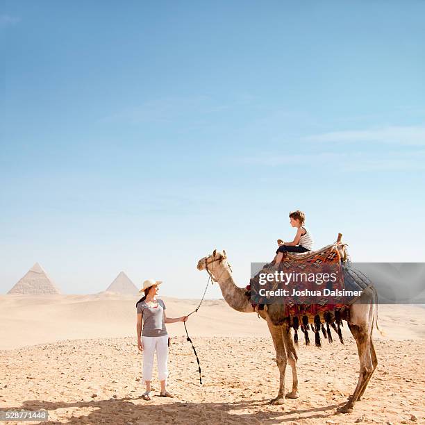 mother and son with a camel - camels stockfoto's en -beelden