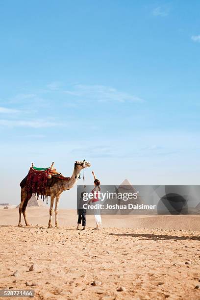 mother and son with a camel - egyptian family stock pictures, royalty-free photos & images
