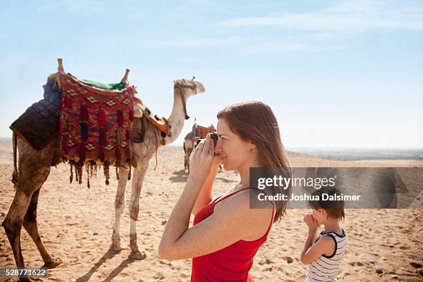 tourists in the desert - dalsimer foto e immagini stock