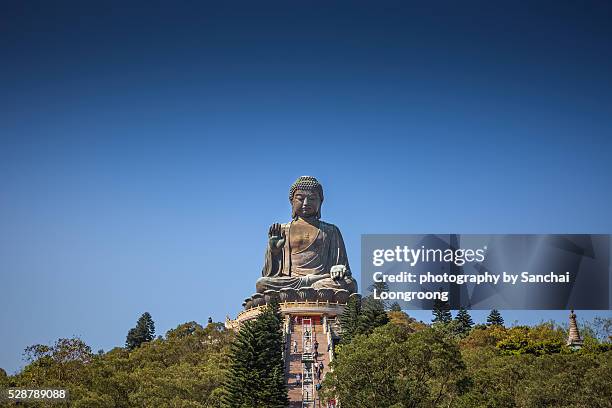 hong kong, china at the tian tan buddha. - chinese porcelain stock pictures, royalty-free photos & images