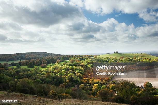 pulpit hill from coombe hill, the chilterns - hügelkette chiltern hills stock-fotos und bilder