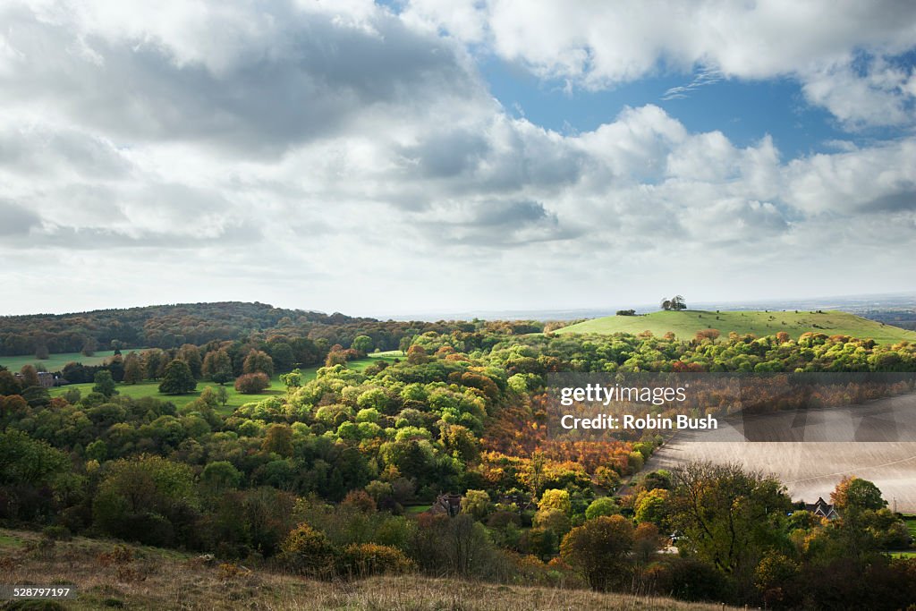 Pulpit Hill from Coombe Hill, The Chilterns