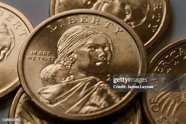 sacagawea one dollar coins - sacagawea 個照片及圖片檔