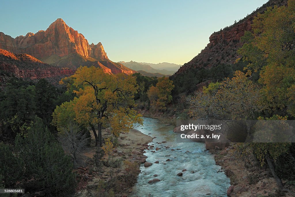 The Virgin River Flows Past the Watchman in Zion