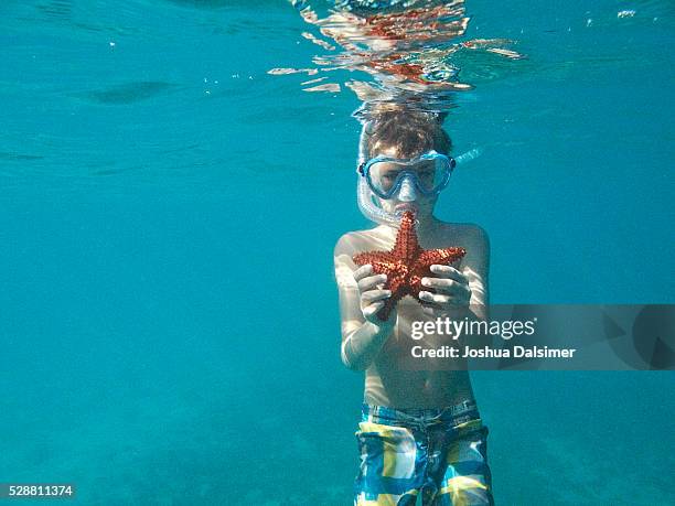 boy underwater with star fish - joshua dalsimer stock pictures, royalty-free photos & images