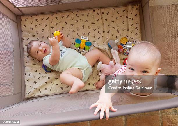 twin babies in playpen - dalsimer foto e immagini stock