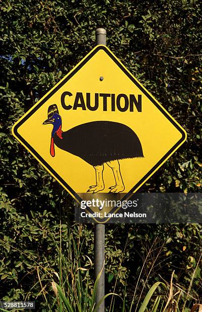 bird caution road sign - australia - casoar photos et images de collection