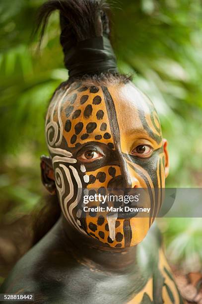 quintana roo, yucatan - jaguar fotografías e imágenes de stock