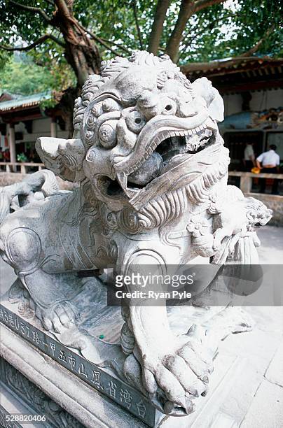 Dragon statue protects the Hall of Great Benevolence at the Nanputuo Temple in Xiamen. The Nanputuo Temple is located on the southeast of Xiamen...