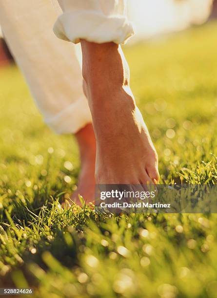 bare feet walking across grass - womans bare feet fotografías e imágenes de stock