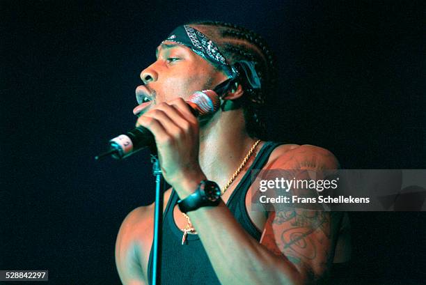 Angelo Singer 933 D Angelo Singer Photos & High Res Pictures - Getty Images