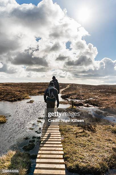 cooley mountains, ireland - cooley mountains stock pictures, royalty-free photos & images