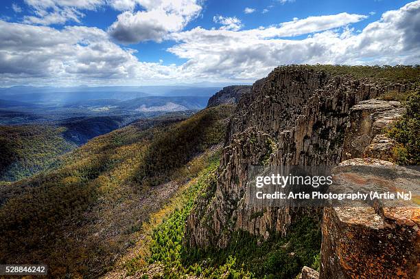 the devils gullet, mole creek, tasmania, australia - tasmanian wilderness stock pictures, royalty-free photos & images