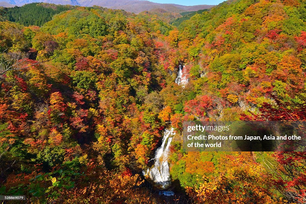 Autumn Colors at Kirifuri Falls in Nikko, Japan