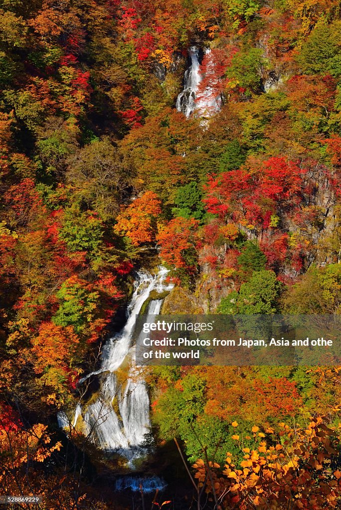 Kirifuri Falls in Nikko, Japan