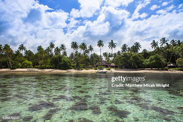 the clear coral waters off the coral coast. - fiji photos et images de collection