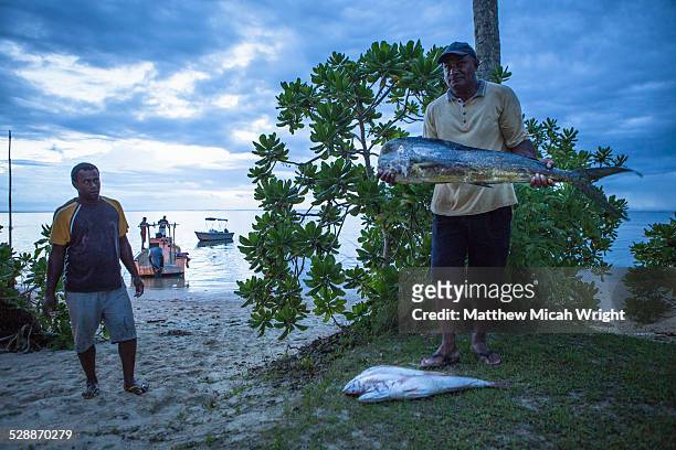 locals bring in a fishing catch. - fiji fishing stock pictures, royalty-free photos & images