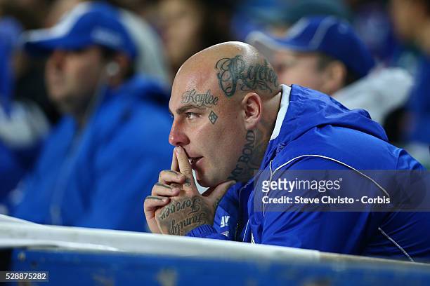 Bulldog's supporter in the crowd during the Semi Final 1 match between the Sydney Roosters and the Canterbury Bankstown Bulldogs at Allianz Stadium...