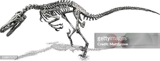 illustrations, cliparts, dessins animés et icônes de deinonychus - dromaeosauridae