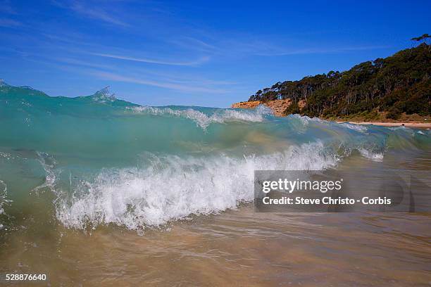 Depot Beach is located in the Murramarang National Park on the south coast of New South Wales, between Batemans Bay and Ulladulla. Saturday, October...