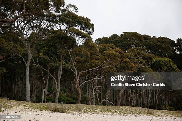 Depot Beach is located in the Murramarang National Park on the south coast of New South Wales, between Batemans Bay and Ulladulla. Saturday, October...