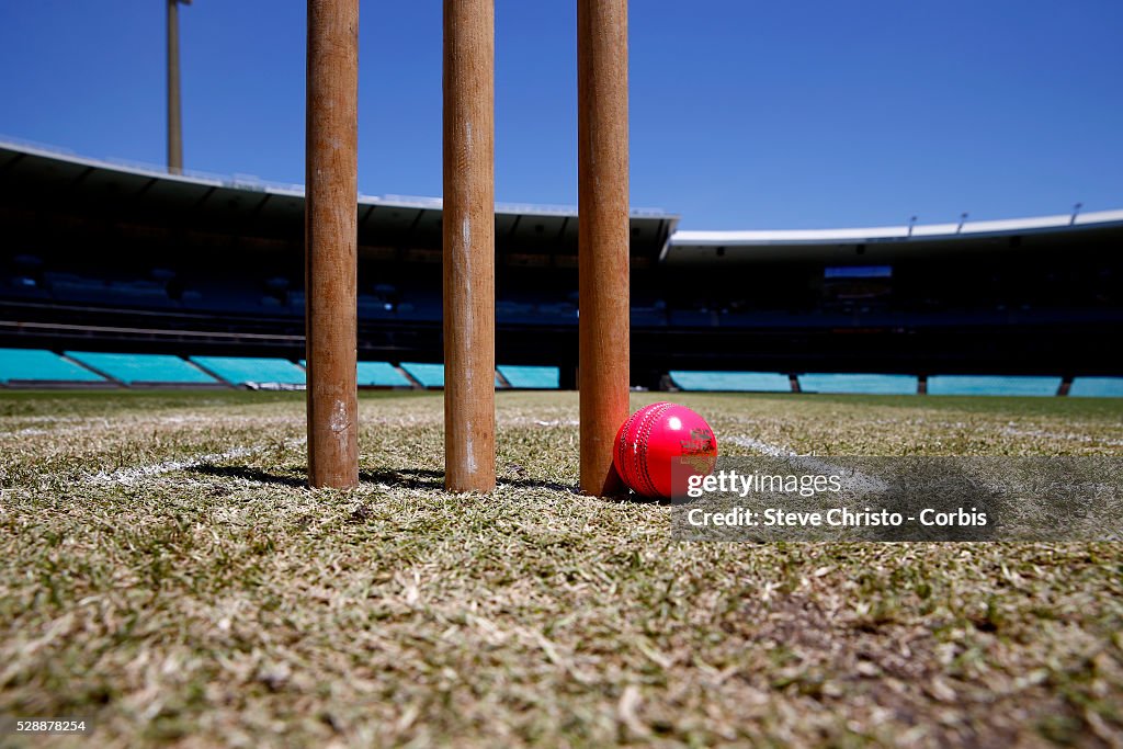 Cricket - Pink Ball and Stumps