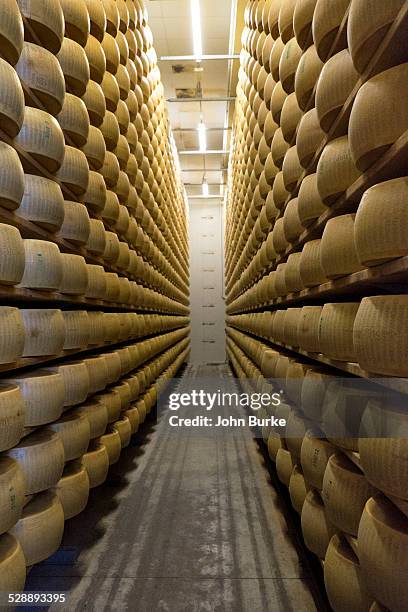 Cheese Inside Factory 349 Inside An Italian Cheese Factory Stock Photos, High-Res Pictures ...